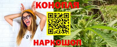 дживик Новокубанск