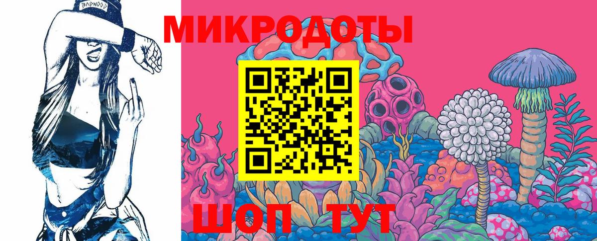 Псилоцибиновые грибы Psilocybine cubensis  Вход с VPN  Альметьевск 