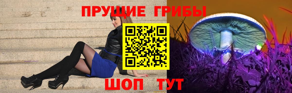Псилоцибиновые грибы ЛСД Альметьевск